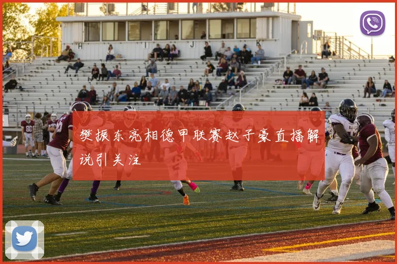樊振东亮相德甲联赛赵子豪直播解说引关注